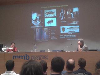 Blog Tomatissims Jornada sobre la Vespa velutina al Museu Marítim de Barcelona