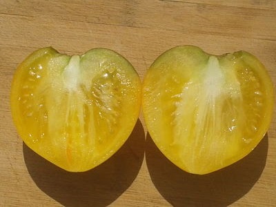 Blog Tomatissims Tomatissimas nueva gama de tomates hibridos naturales