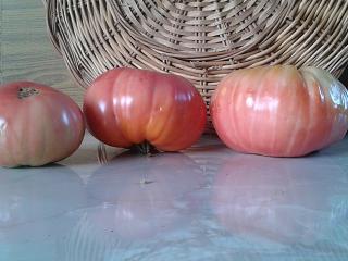 Blog Tomatissims Tomatissimas nueva gama de tomates hibridos naturales