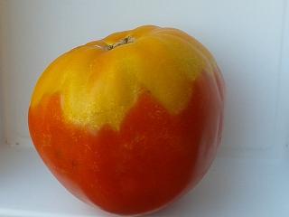 Blog Tomatissims Tomatissimas nueva gama de tomates hibridos naturales