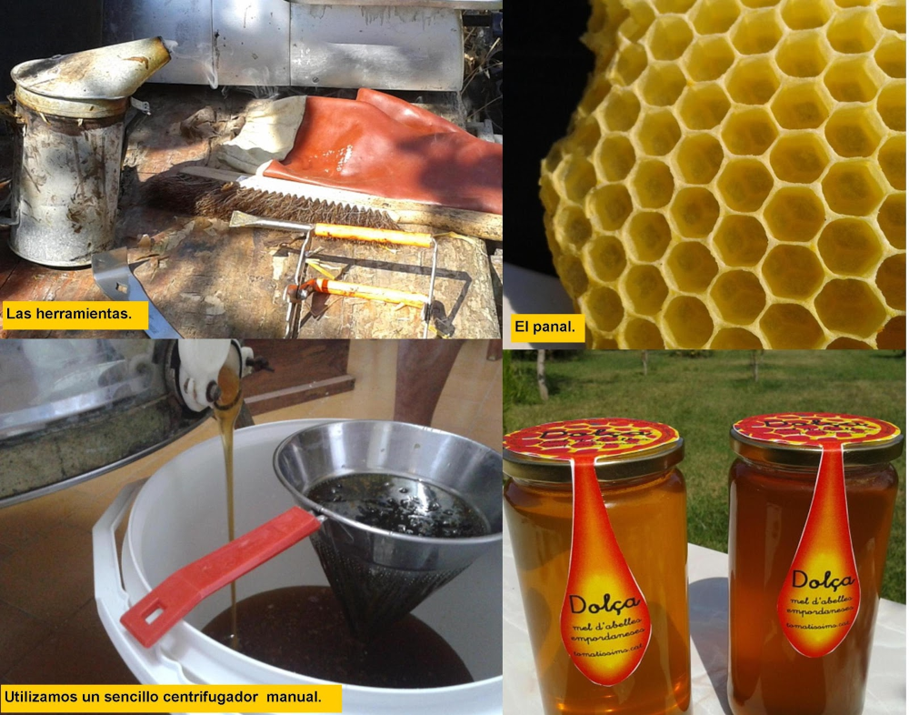 Tomatissims apicultura