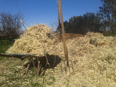 Gestión de residuos urbanos