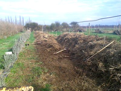 Gestión de residuos urbanos