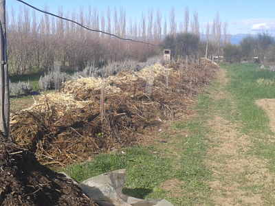 Gestión de residuos urbanos