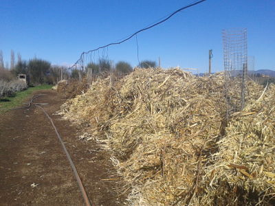 Gestión de residuos urbanos